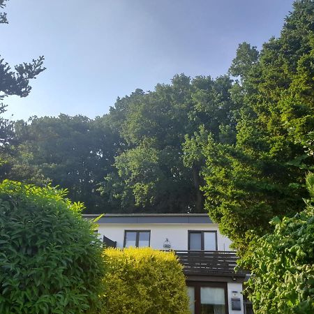 Apartment Am Waldrand 1 Person ,Gemuetlich, Nichtraucher Itzehoe Exterior photo